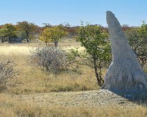 Makgadikgadi Pans